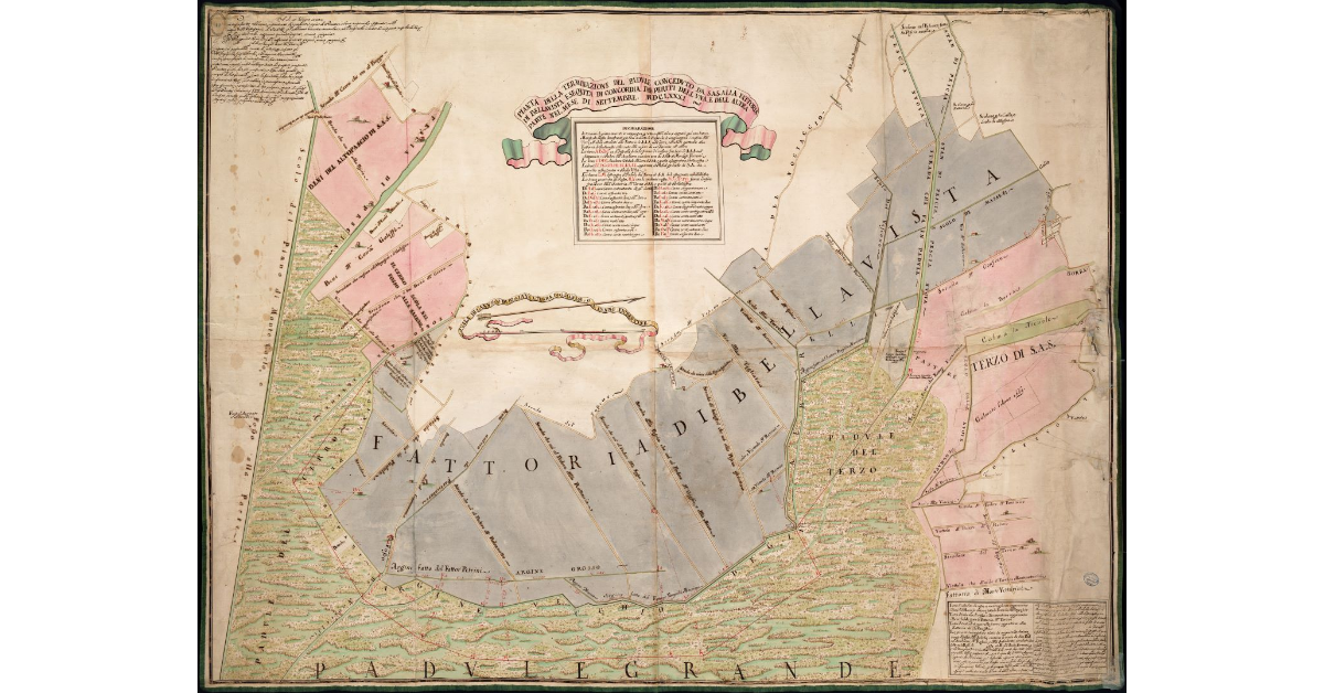Pianta della terminazione del padule conceduto da S.A.S. alla Fattoria di Bellavista [...]