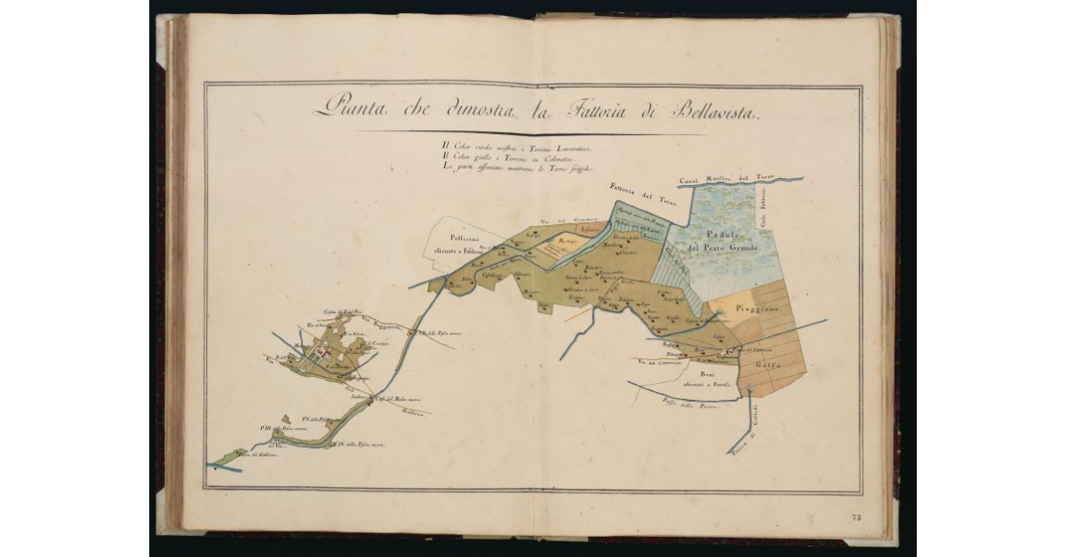 Pianta che dimostra la Fattoria di Bellavista