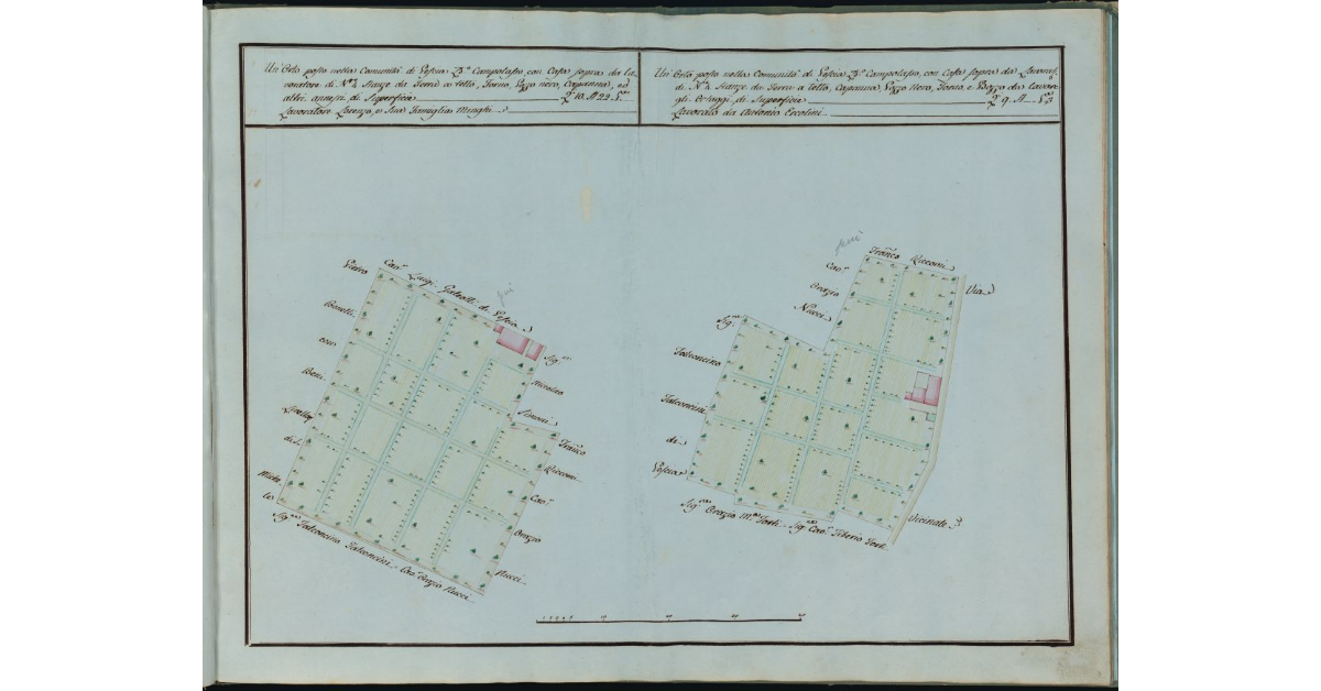 [Due poderetti in località Campolasso a Pescia]