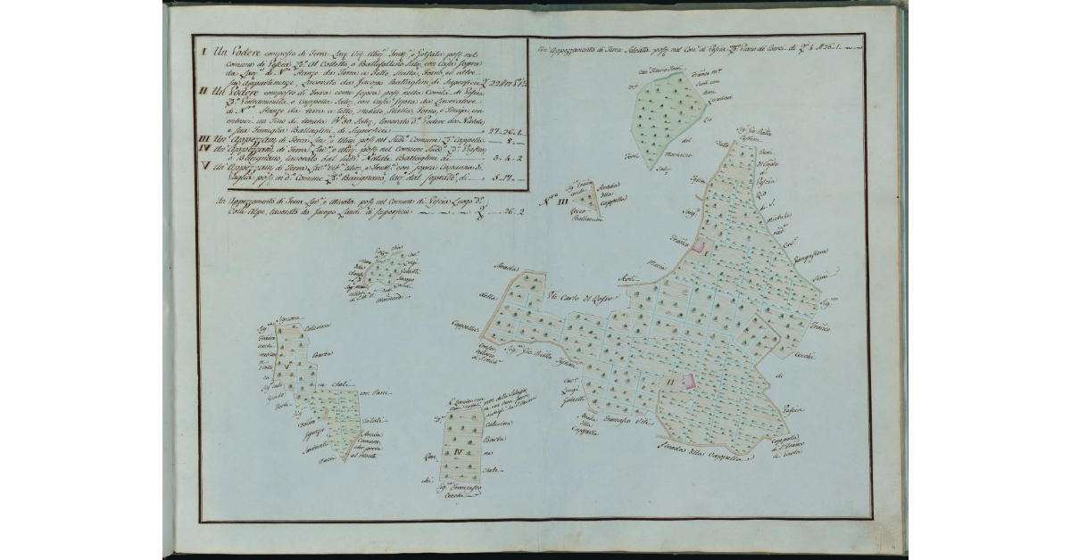 [Poderi e terreni in località Colletto o Battifollino, Pietraminuta e altri luoghi]