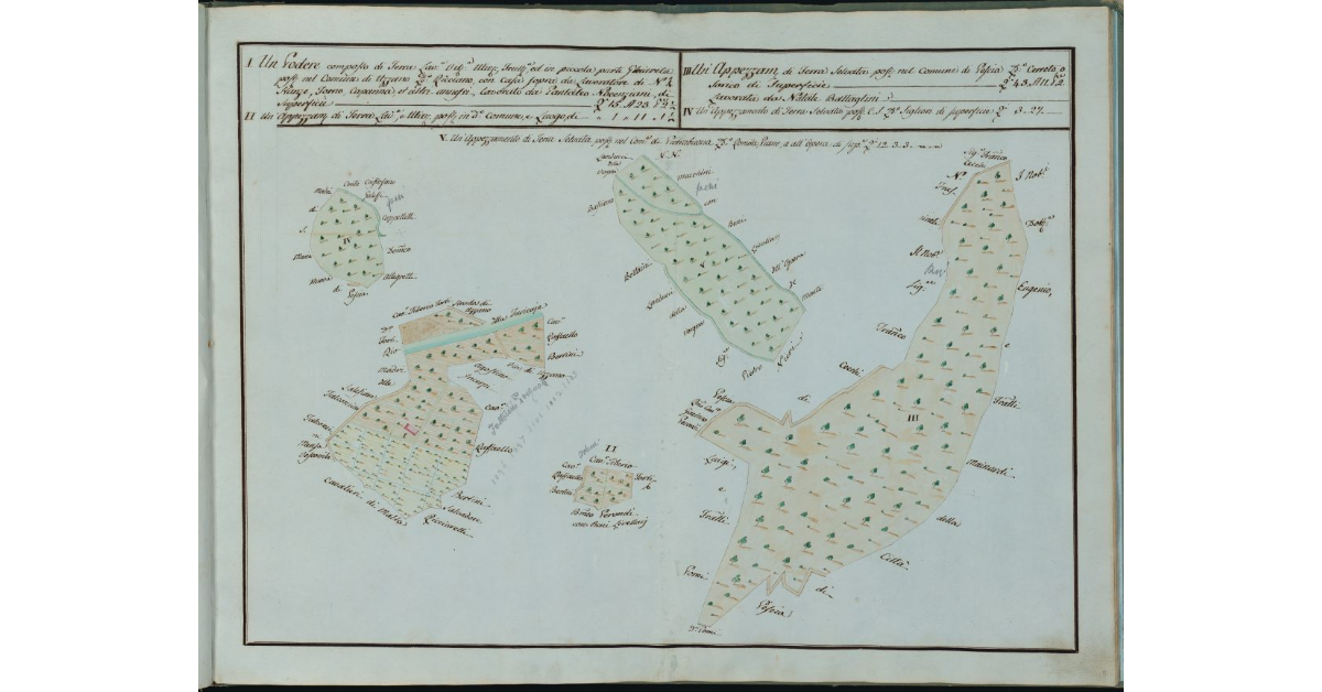[Podere con vari appezzamenti in località Ricciano di Uzzano]