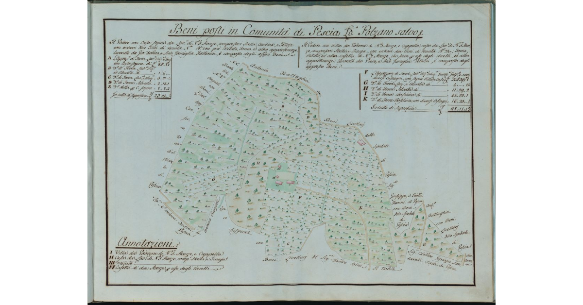 Beni posti in Comunità di Pescia luogo detto Polzano