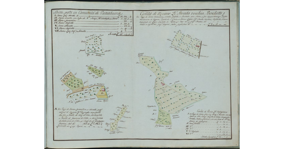 [Appezzamenti nelle Comunità di Pietrabuona e Uzzano]