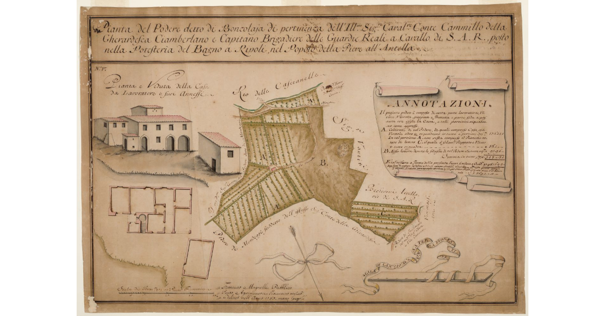 Pianta del Podere detto di Bonzolaia [...]