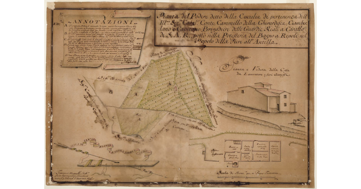 Pianta del Podere detto la Cuculia [...]