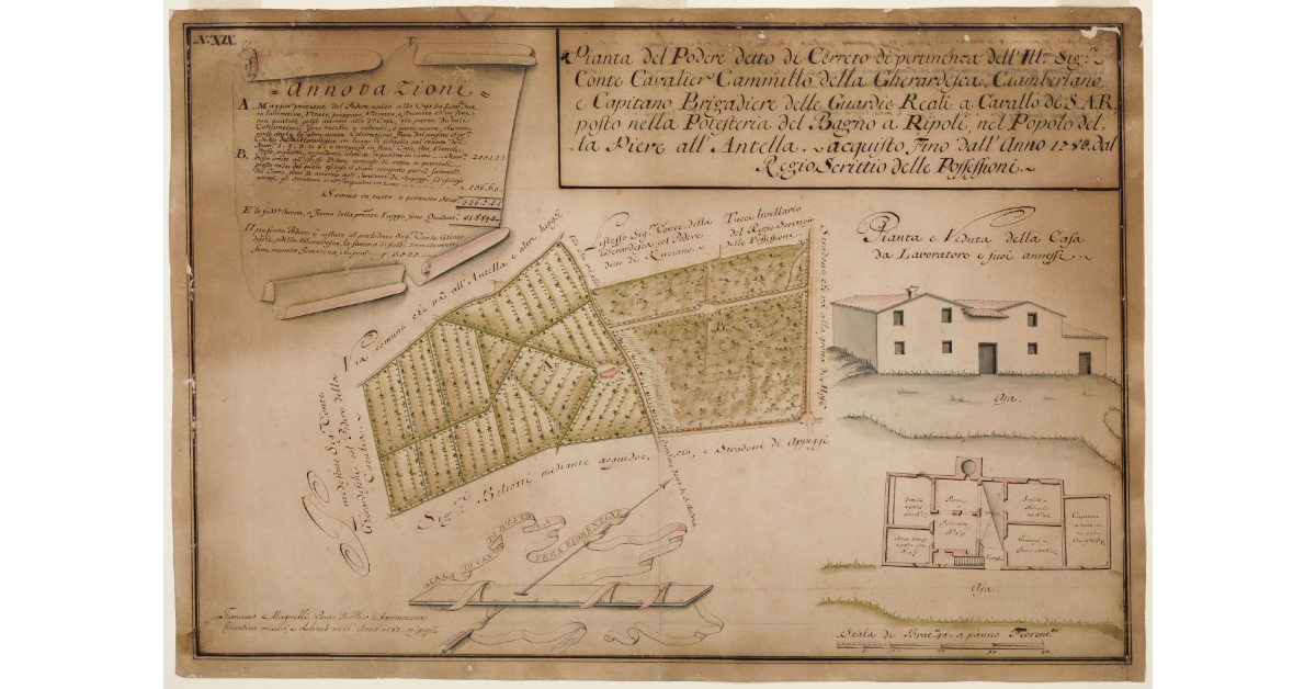 Pianta dell Podere di Cerreto [...]
