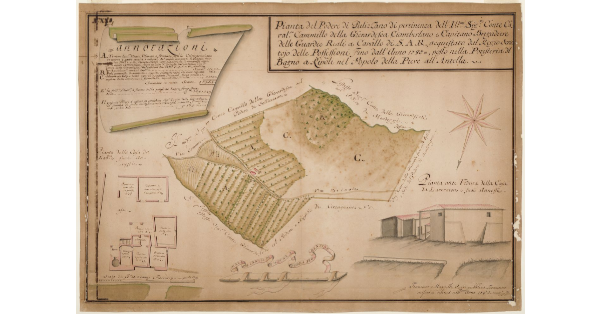 Pianta del Podere di Pulizzano [...]