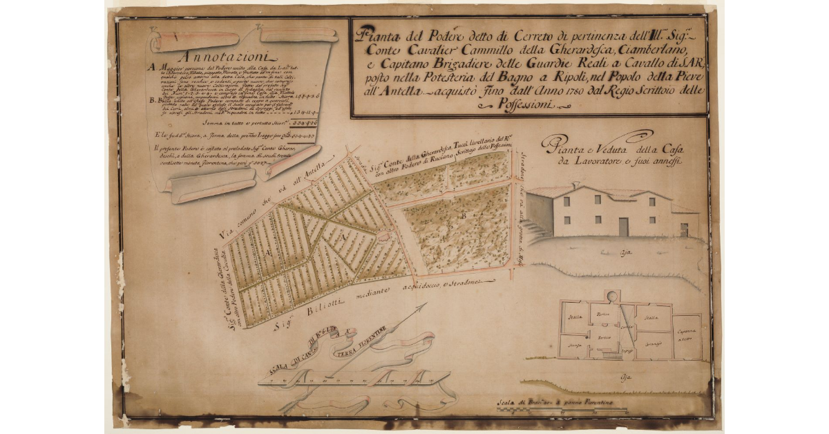 Pianta del Podere detto di Cerreto [...]