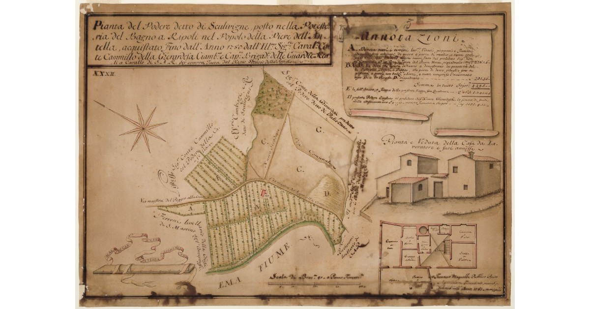 Pianta del Podere detto di Scilivigne [...]