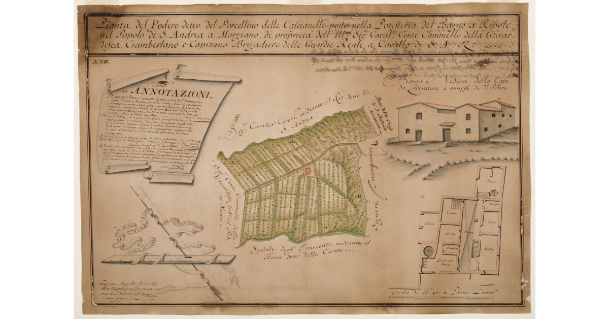 Pianta del Podere detto del Porcellino delle Cascianelle [...]