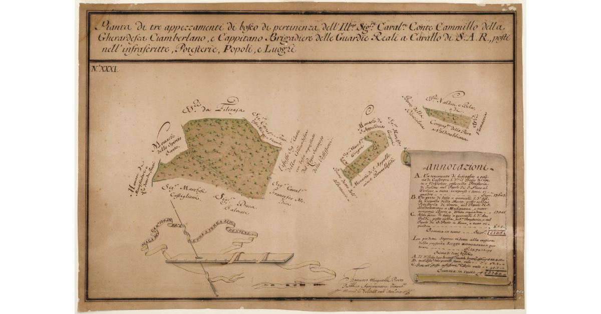 Pianta di tre appezzamenti di bosco [...]