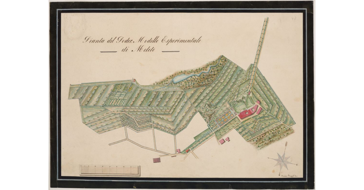 Pianta del Poder Modello Esperimentale di Meleto