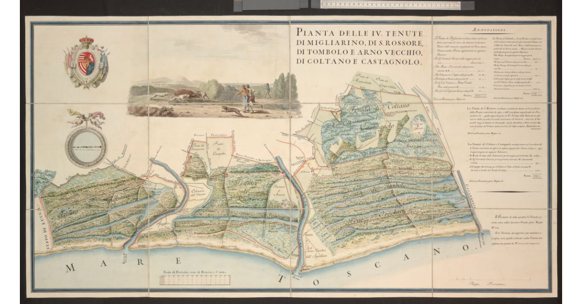 Piante delle IV tenute di Migliarino, di S.Rossore, di Tombolo e Arno Vecchio, di Coltano e Castagnolo