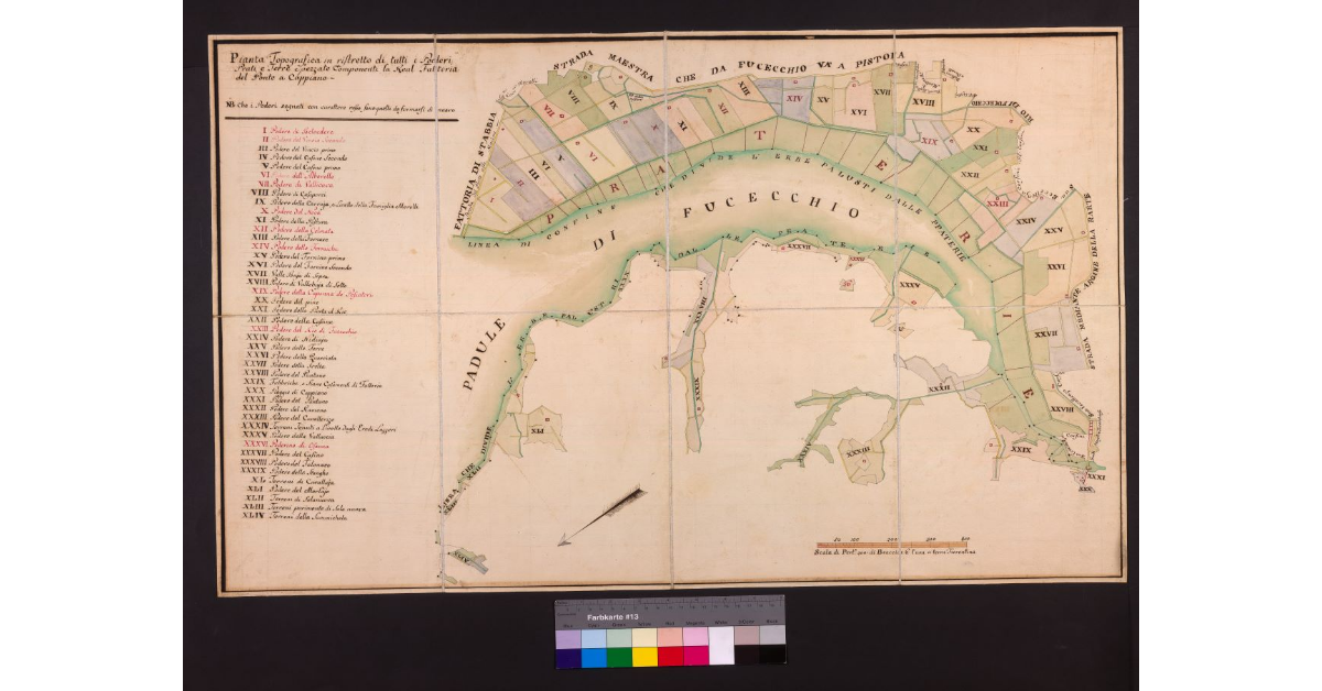 Pianta topografica in ristretto di tutti i poderi, prati e terre spezzate componenti la Real fattoria del Ponte a Cappiano