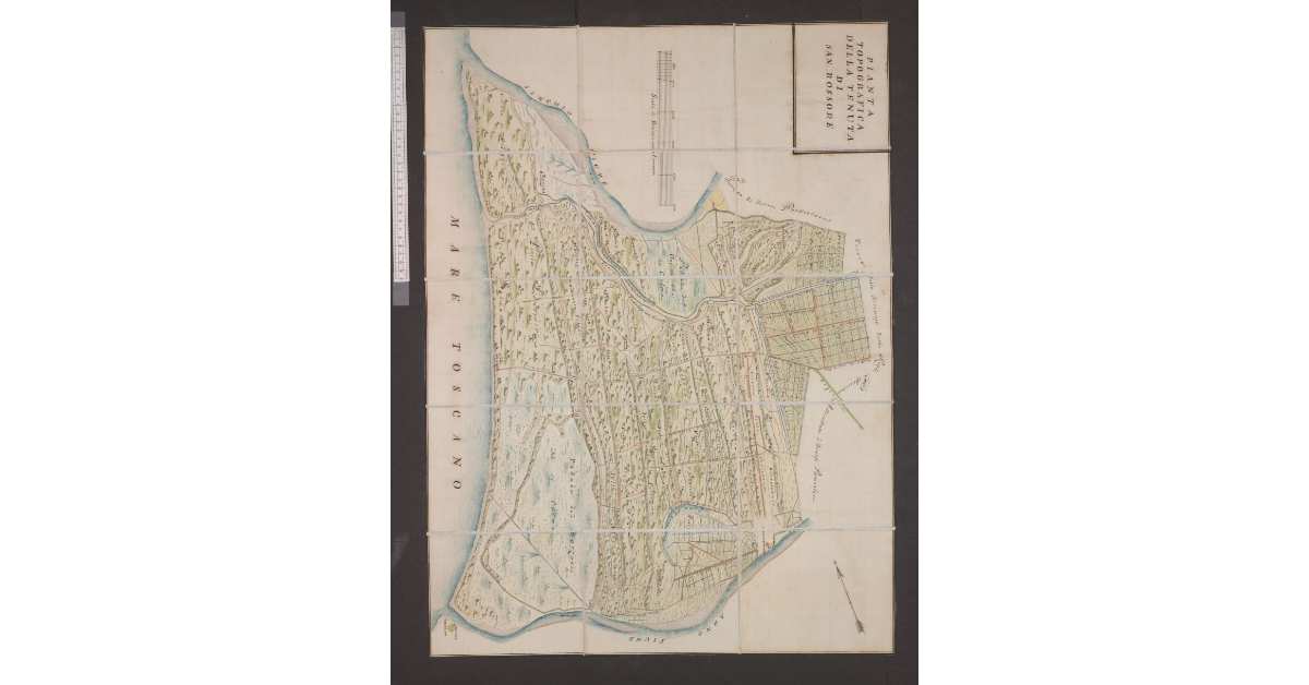Pianta topografica della Tenuta di San Rossore