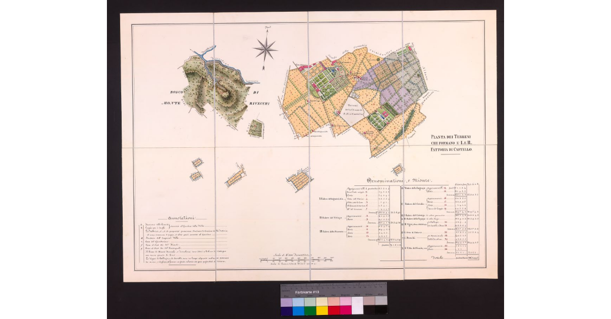 Pianta dei terreni che formano l'I. e R., fattoria di Castello