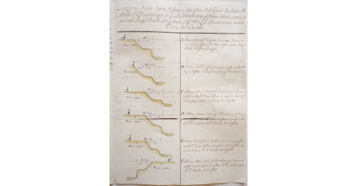 Sezioni della ripa destra, e sinistra del Fosso di Scolo dè Prati d'Asinalunga in quel Tronco ove esistono i mori stati piantati dagl'Eredi del g. Nobile Signor Muzio Piccolomini nella Villa del Casàto