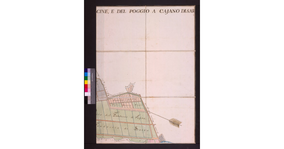 Pianta della Fattoria delle Cascine, e del Poggio a Caiano di SAR