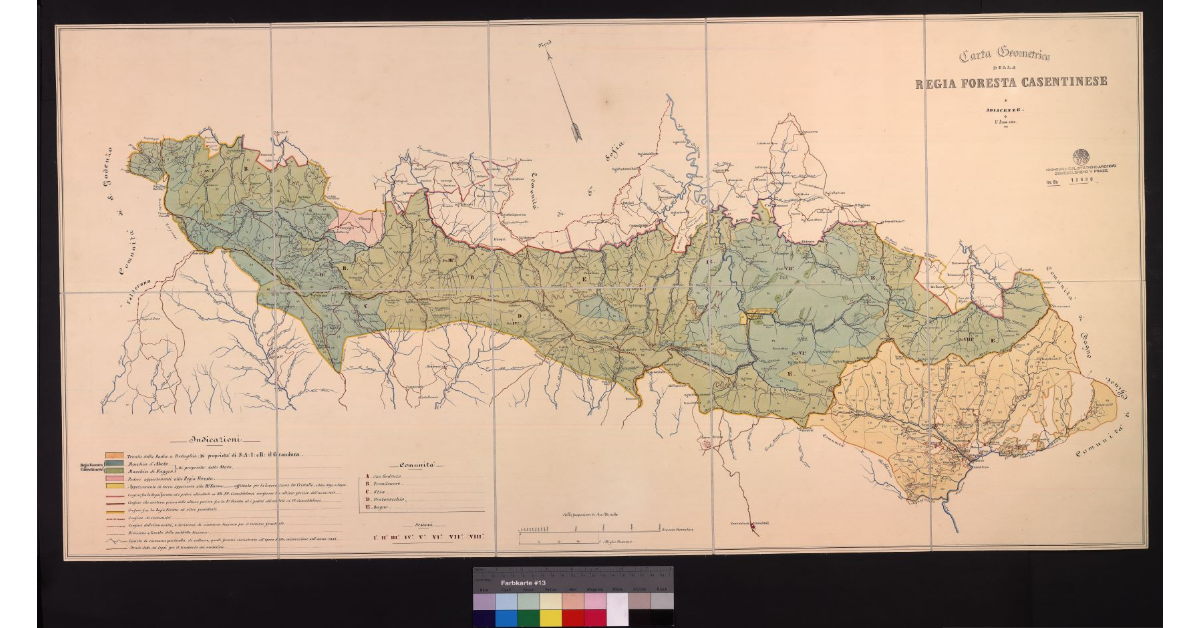 Carta Geometrica della Regia Foresta Casentinese e adiacenze l'anno 1850