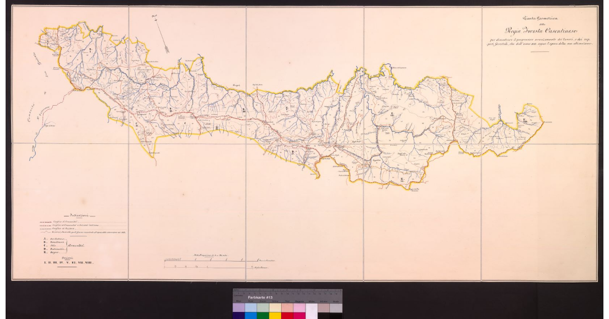 Pianta geometrica della Regia Foresta Casentinese per dimostrare il progressivo avanzamento dei lavori e dei rapporti forestali che dall'anno 1837 segna l'epoca della sua ultimazione
