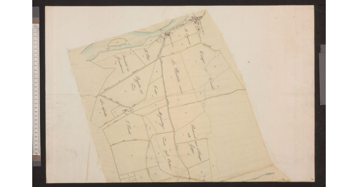 [Mappa di una sezione catastale della costa e dell'entroterra di Cecina]