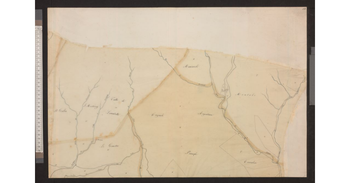 [Mappa di una sezione catastale della costa e dell'entroterra di Cecina]
