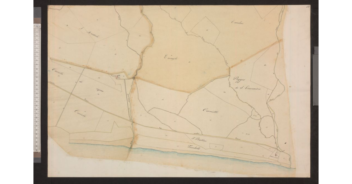 [Mappa di una sezione catastale della costa e dell'entroterra di Cecina]