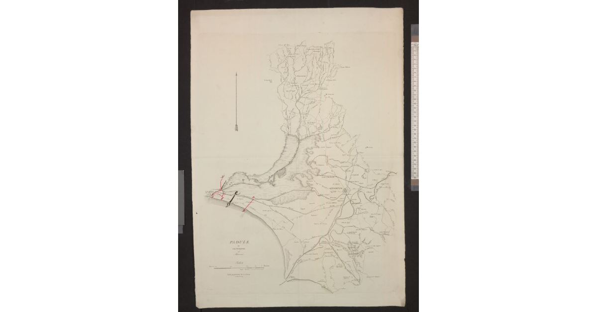 Padule di Castiglioni ed adiacenze
