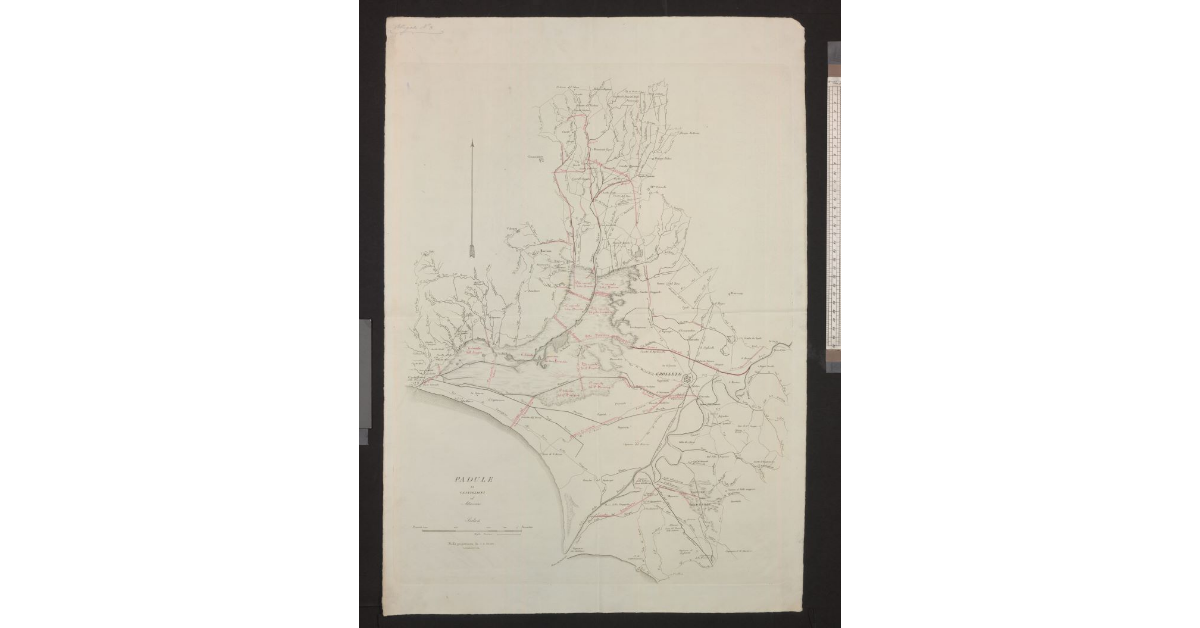 Padule di Castiglioni ed adiacenze