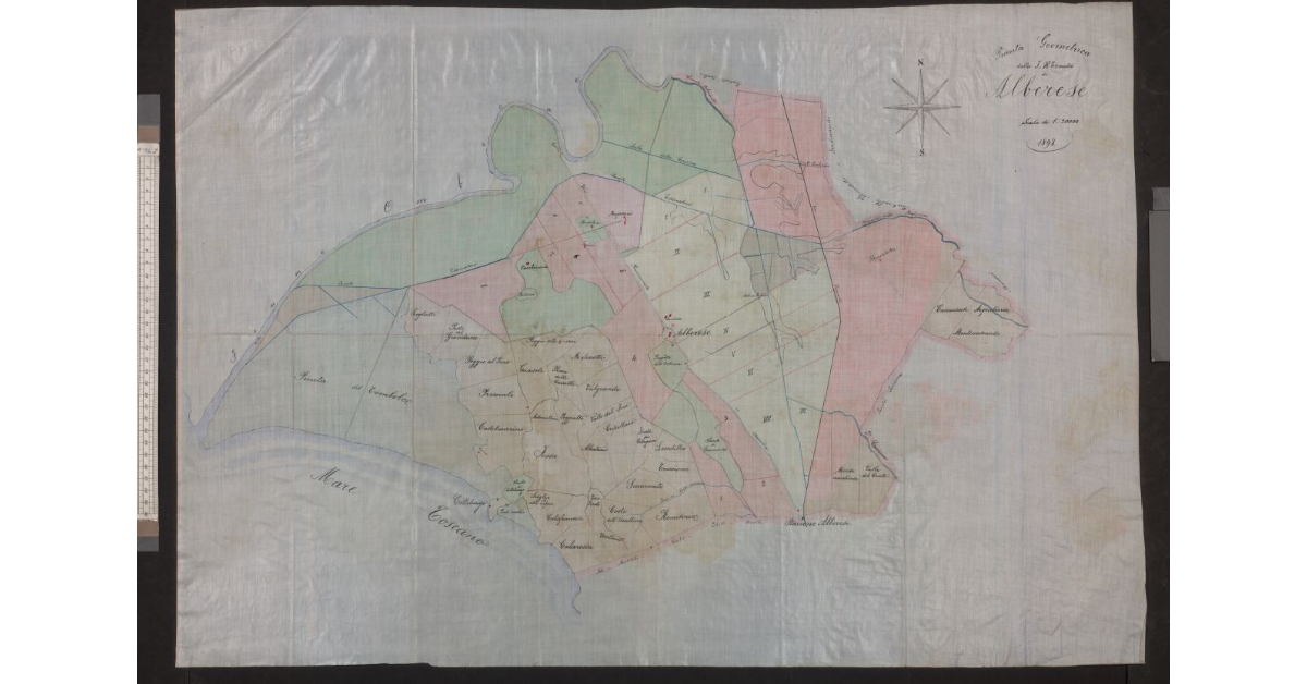 Pianta Geometrica dell'I. R Tenuta di Alberese