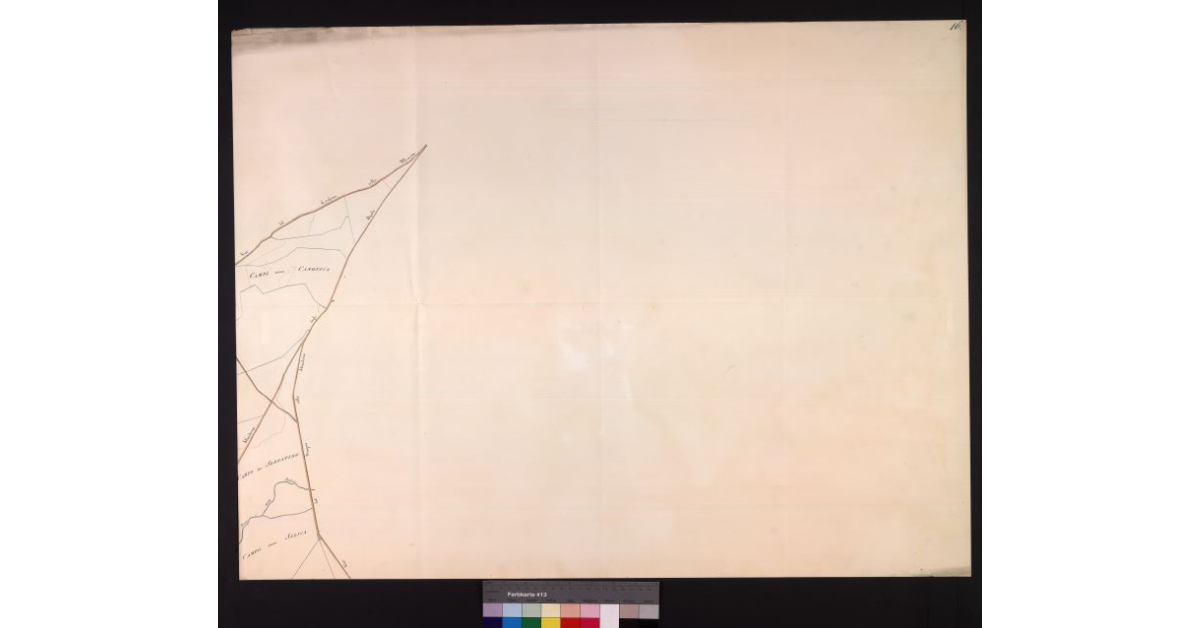 [Mappa catastale del territorio grossetano]