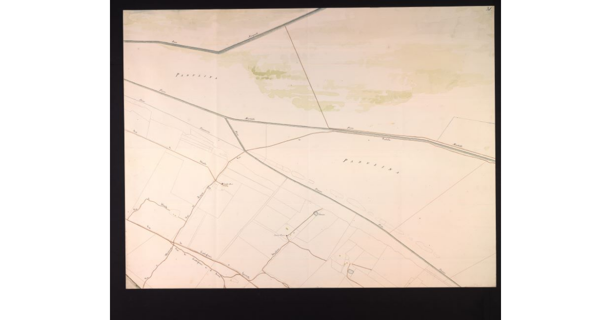 [Mappa catastale del territorio grossetano]