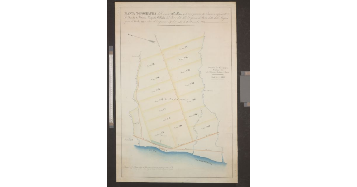 Pianta topografica delle nuove allivellazioni di una porzione dei terreni componenti la Tenuta di Biserno, proprietà Alliata [...]