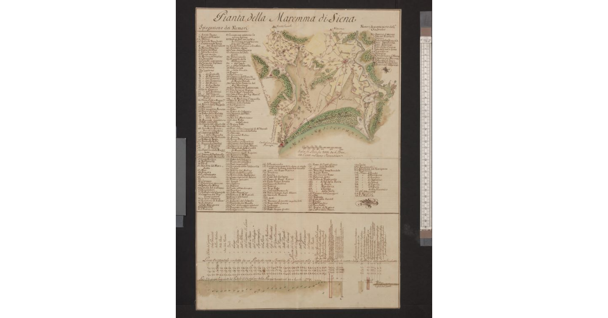Pianta della Maremma di Siena
