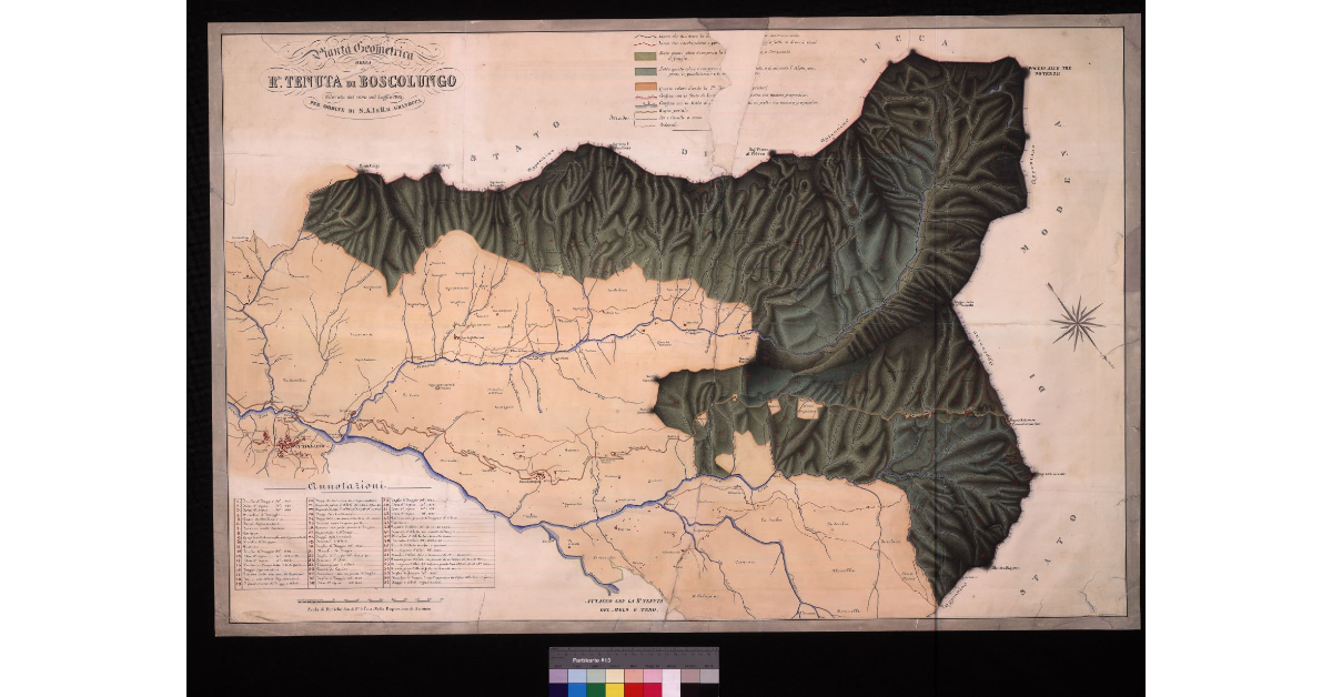 Pianta geometrica della R. Tenuta di Boscolungo rilevata dal vero nel luglio 1843 per ordine di S. A. R. e I. il Granduca