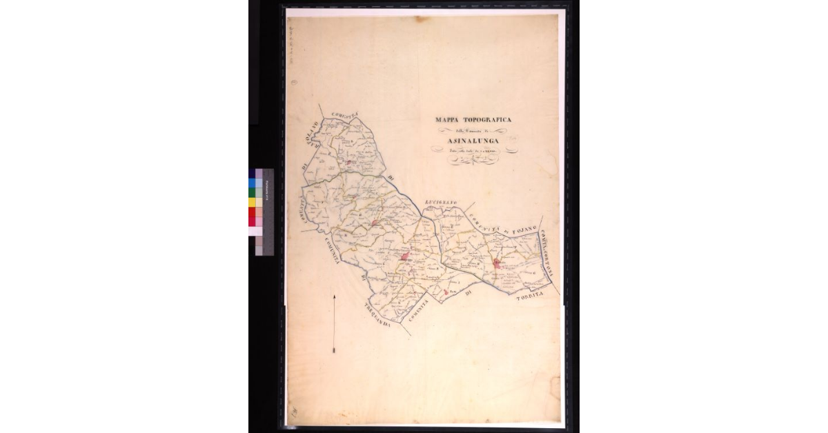 Mappa topografica della comunità di Asinalunga