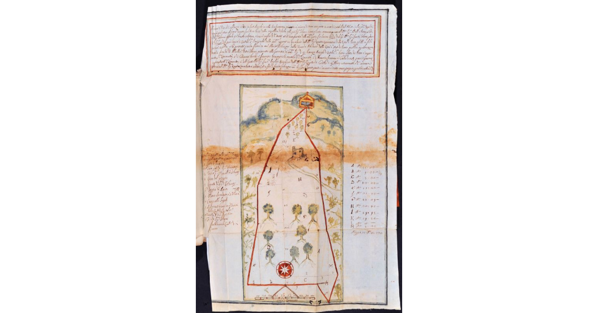 [Pianta delle terre poste in corte di Castelnuovo dell'Abate in luogo detto Poggio di Arna]