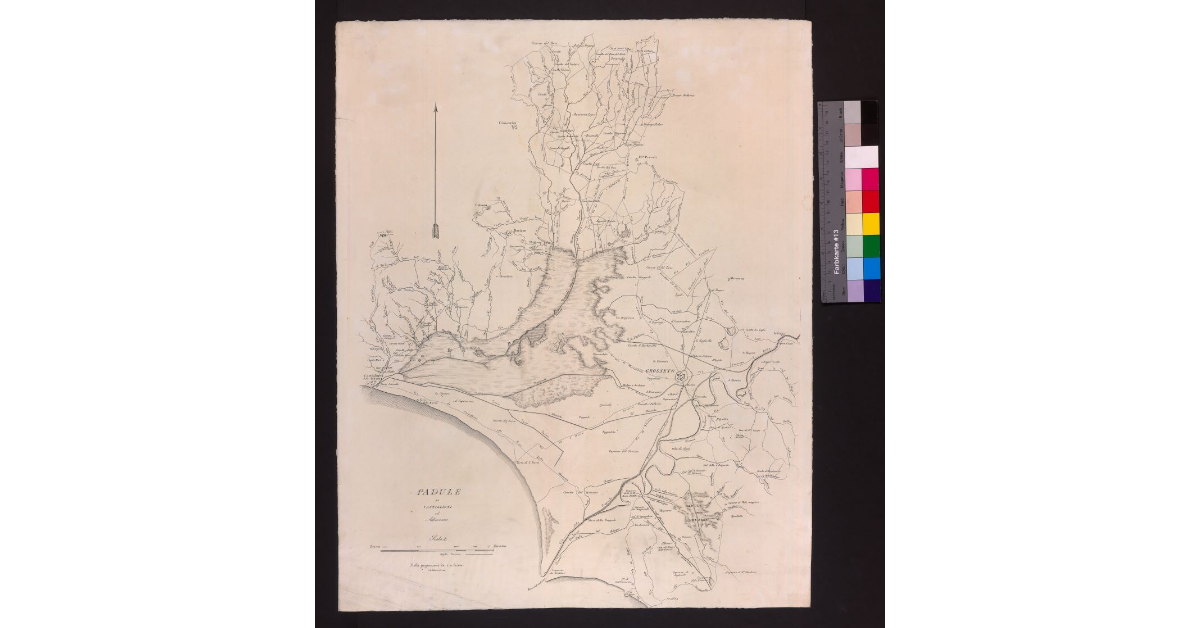 Pianta del padule di Castiglioni ed adiacenze