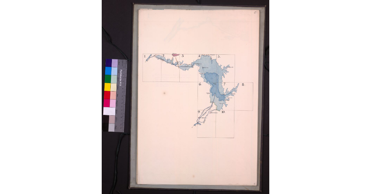 Mappa geometrica del lago di Bientina
