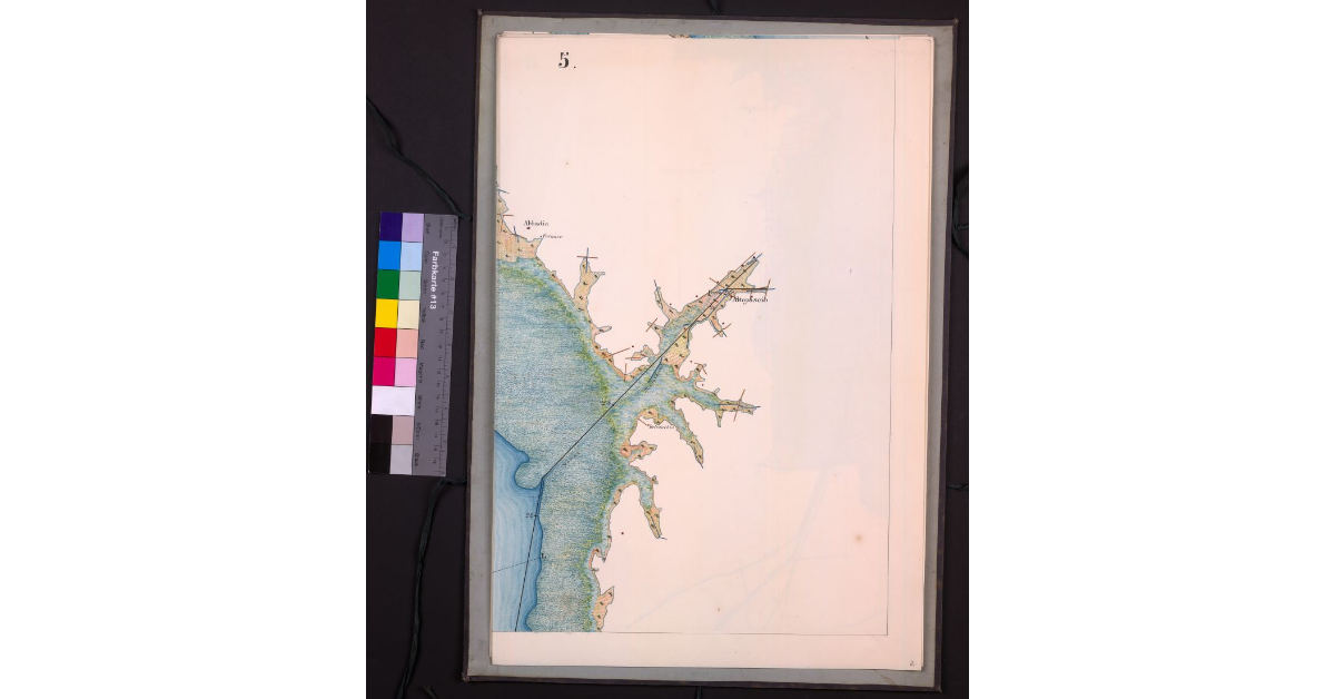Mappa geometrica del lago di Bientina