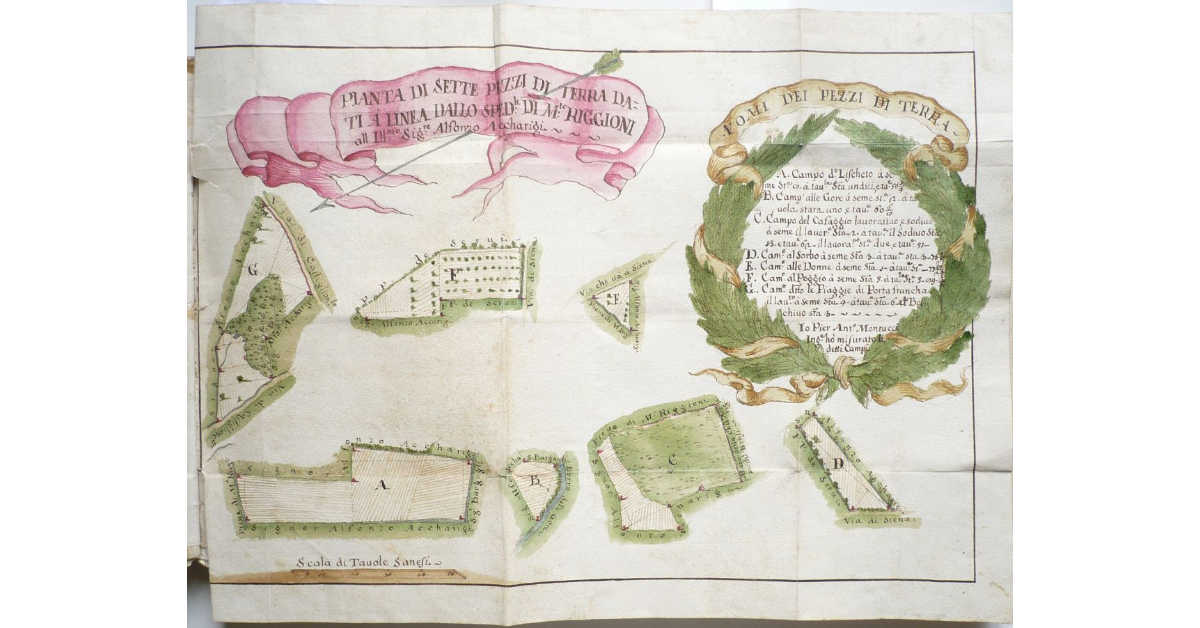 Pianta di sette pezzi di terra dati a linea dallo spedale di Monteriggioni all'Illustrissimo Signor Alfonzo Accharigi
