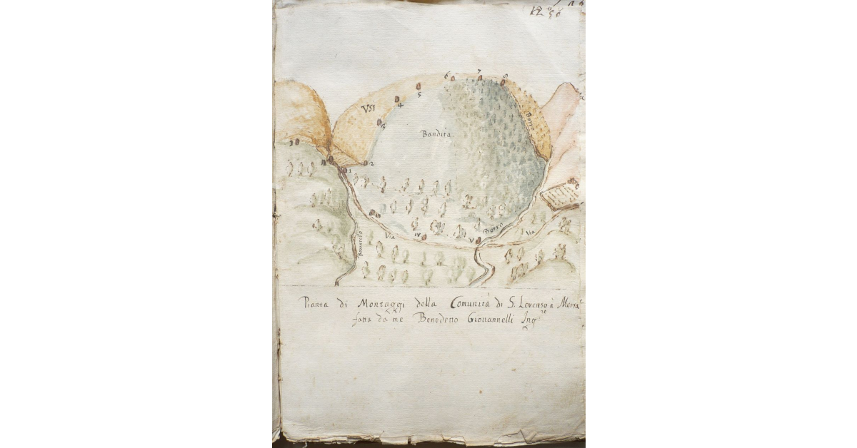 Pianta di Montaggi della comunità di San Lorenzo a Merza