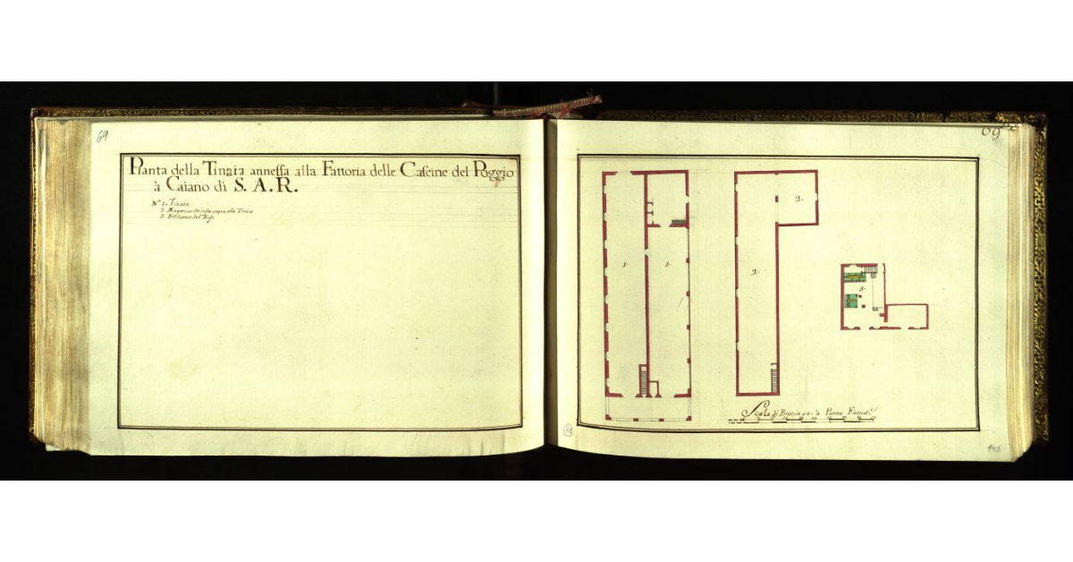 Pianta della tinaia annessa alla Fattoria delle Cascine del Poggio a Caiano di S.A.R