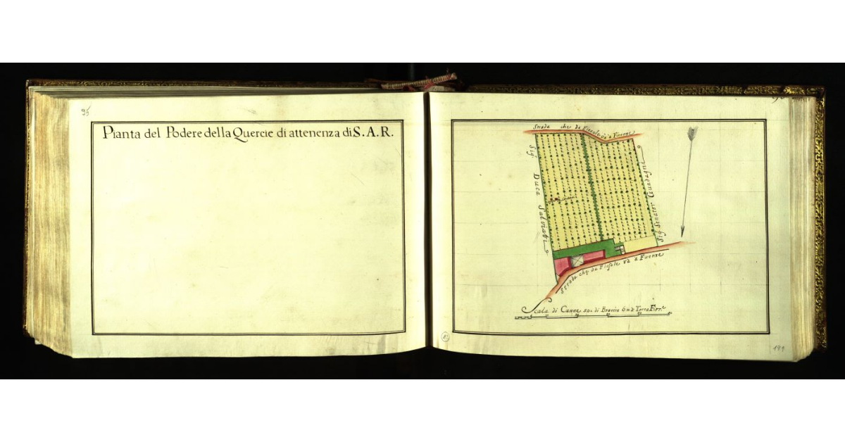 Pianta generale del Podere della Quercie di attenenza di S.A.R