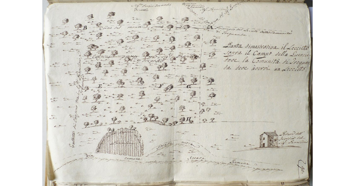 Pianta dimostrativa il Leccieto sopra il Campo della Quercie dove la Comunità di Trequanda deve àvervi un Leccieto