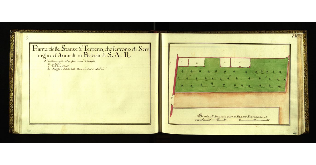 Pianta delle stanze a terreno, che servono di serraglio d'animali in Boboli di S.A.R. [a Firenze]