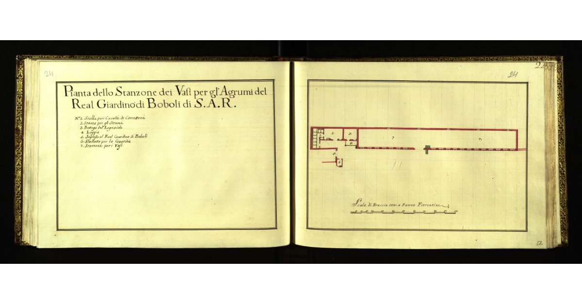 Pianta dello stanzone dei vasi per gli agrumi del Real Giardino di Boboli di S.A.R. [a Firenze]
