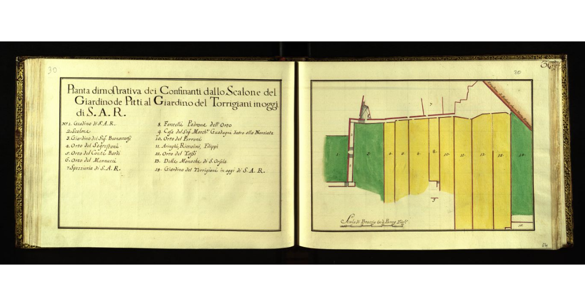 Pianta dimostrativa dei confinanti dallo scalone del Giardino de Pitti al Giardino del Torrigiani in oggi di S.A.R. [a Firenze]