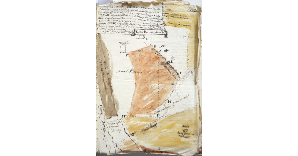 Poggio Beccaio Amerighi [a Montalcino]