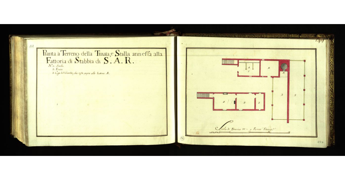 Pianta a terreno della tinaia e stalla annessa alla Fattoria di Stabbia di S.A.R